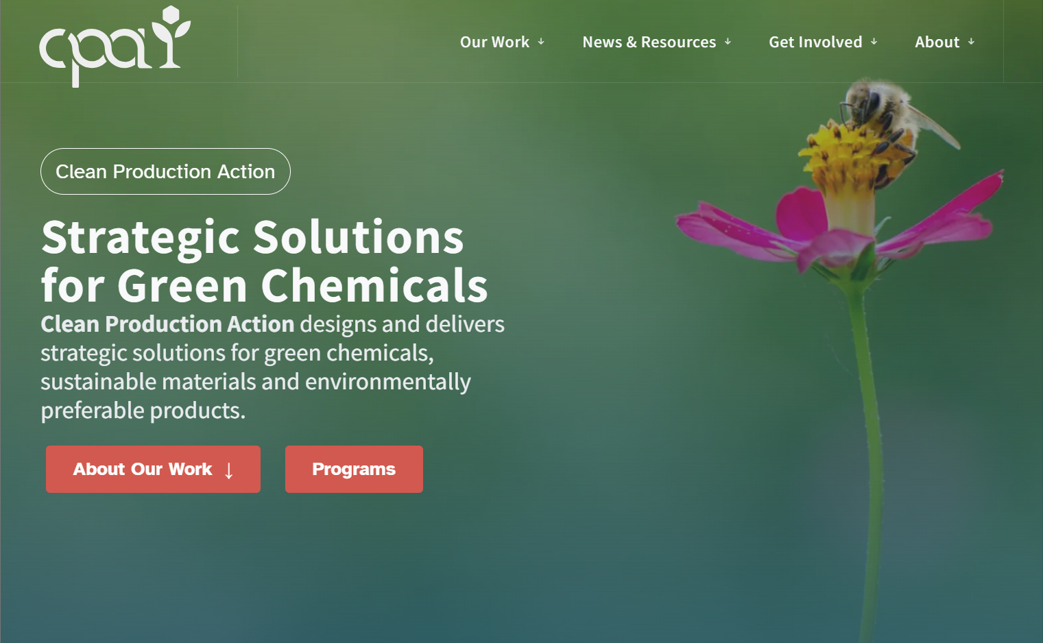 View Clean Production Action Nonprofit for Safer Chemicals website