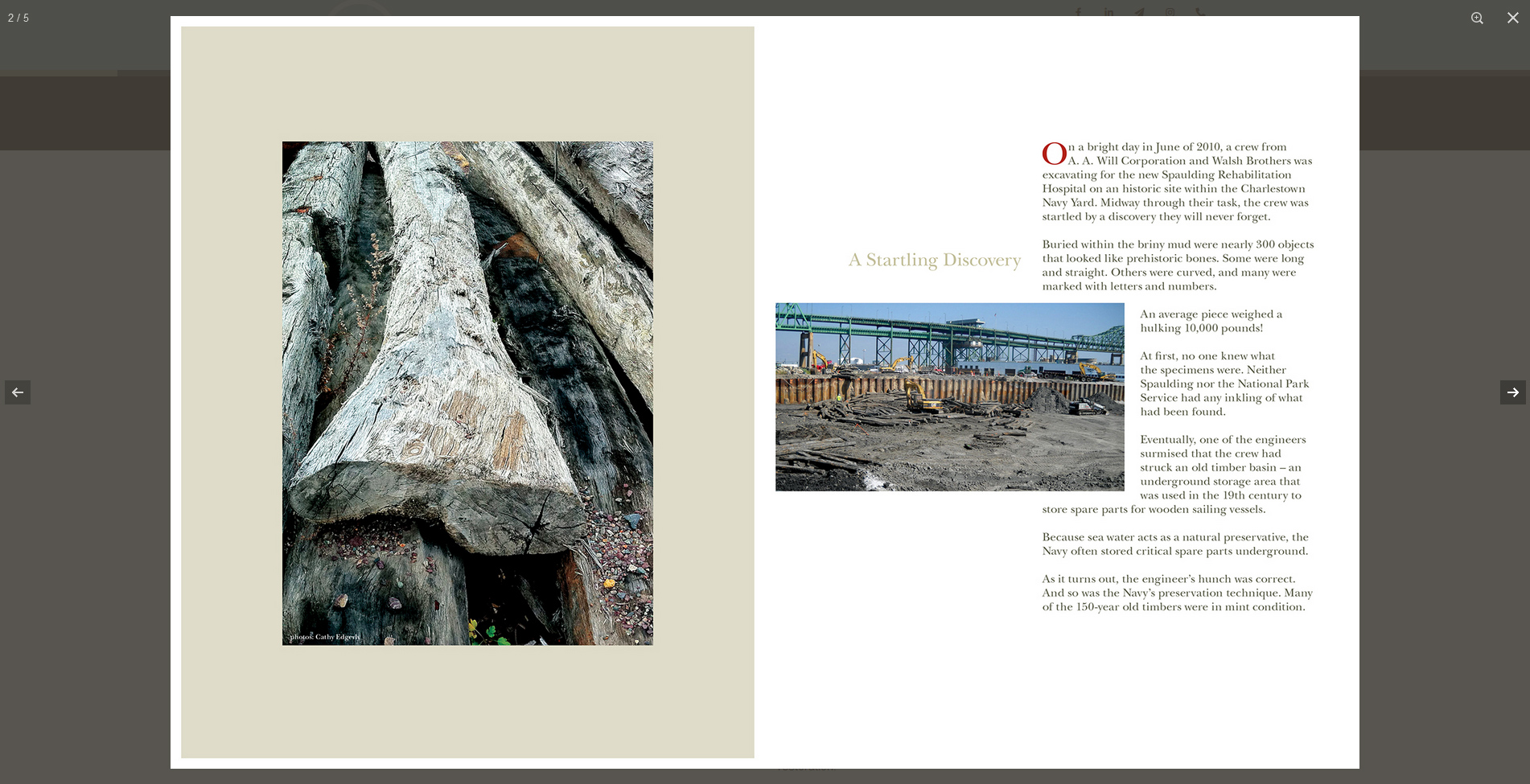 guarinodesign.com &copy; by eBree Web Design